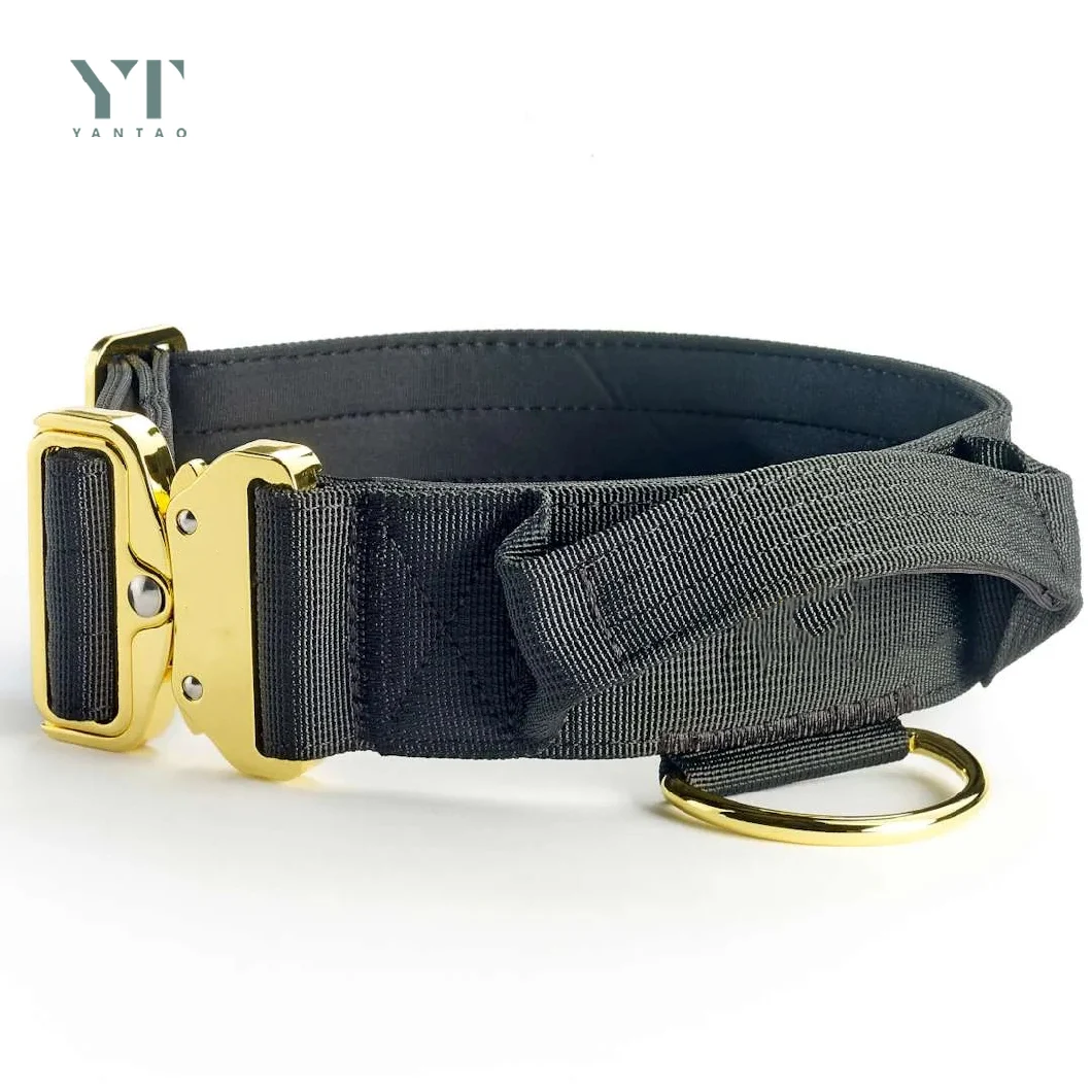 Custom Logo 2 Inch Gold Large Dog Collar with Handle Heavy Duty Adjustable Nylon Luxury Tactical Dog Collar Pet Collar